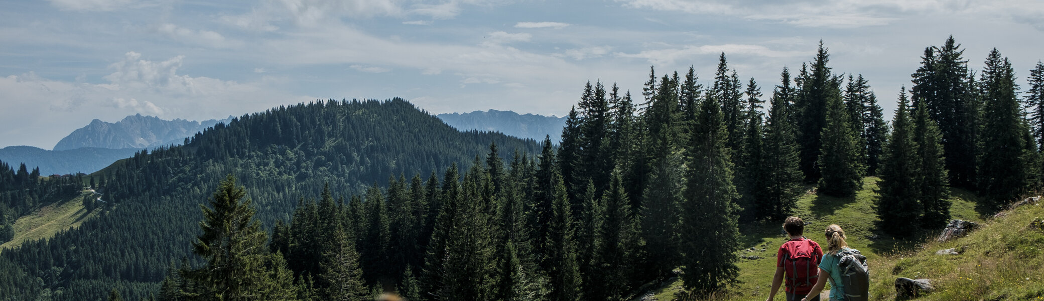 Zwei Wanderer auf einem Bergpfad in den Chiemgauer Alpen | © DAV/Hans Herbig