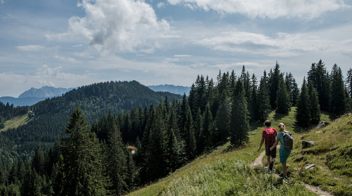 Zwei Wanderer auf einem Bergpfad in den Chiemgauer Alpen | © DAV/Hans Herbig